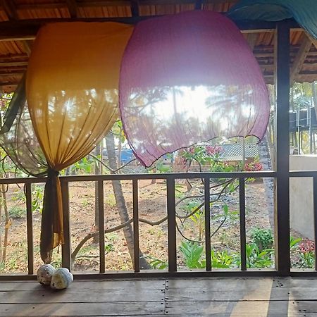The Wild Flower! Anjuna Exterior photo