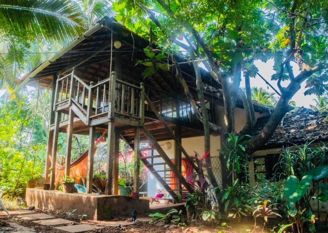 The Wild Flower! Anjuna Exterior photo