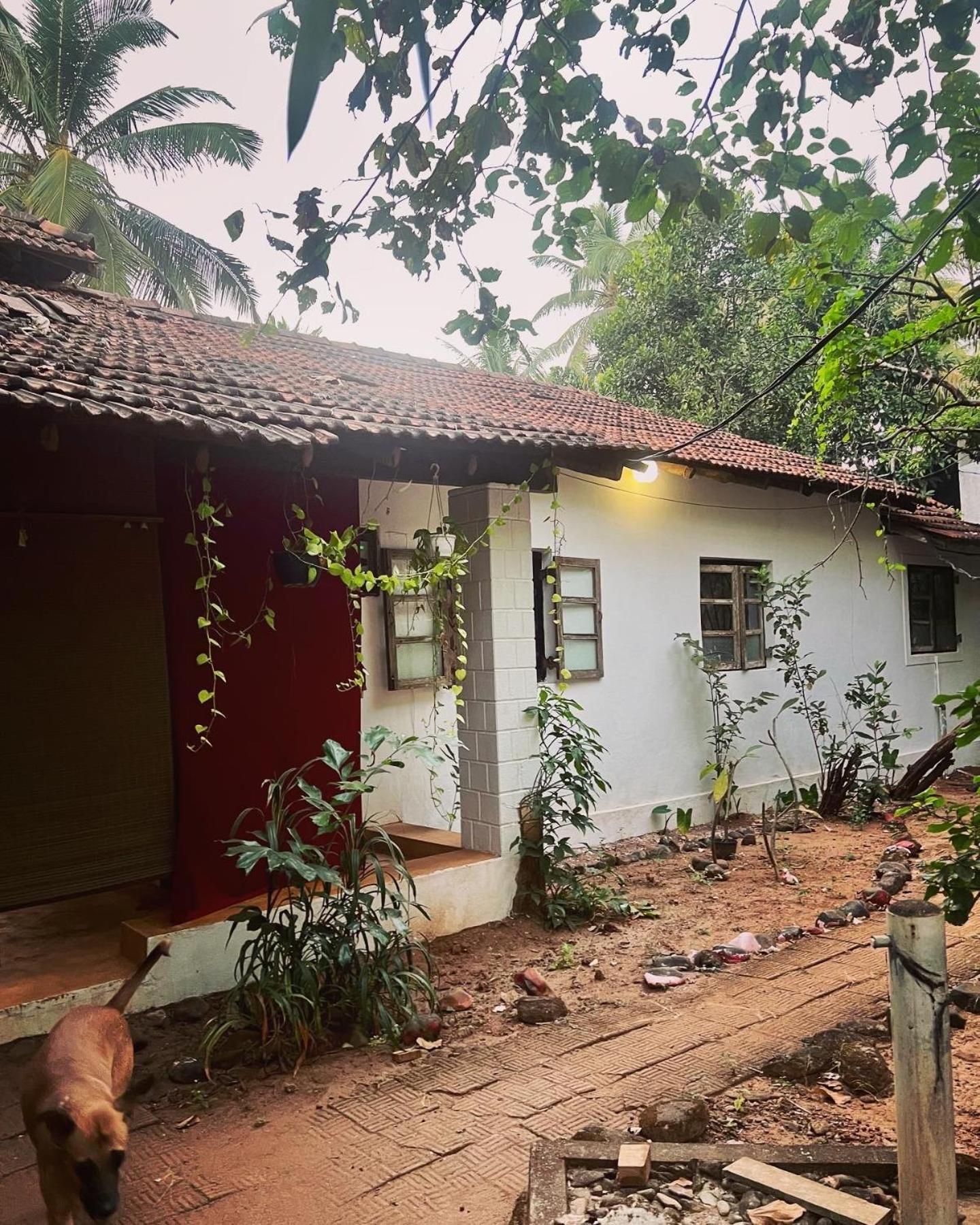 The Wild Flower! Anjuna Exterior photo