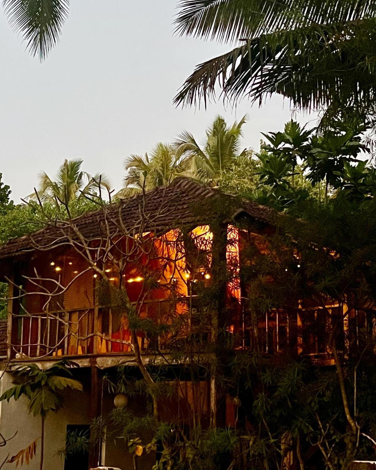 The Wild Flower! Anjuna Exterior photo
