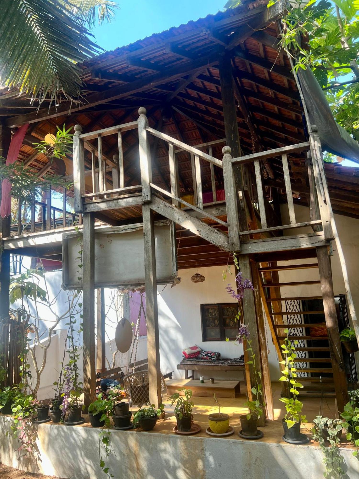 The Wild Flower! Anjuna Exterior photo