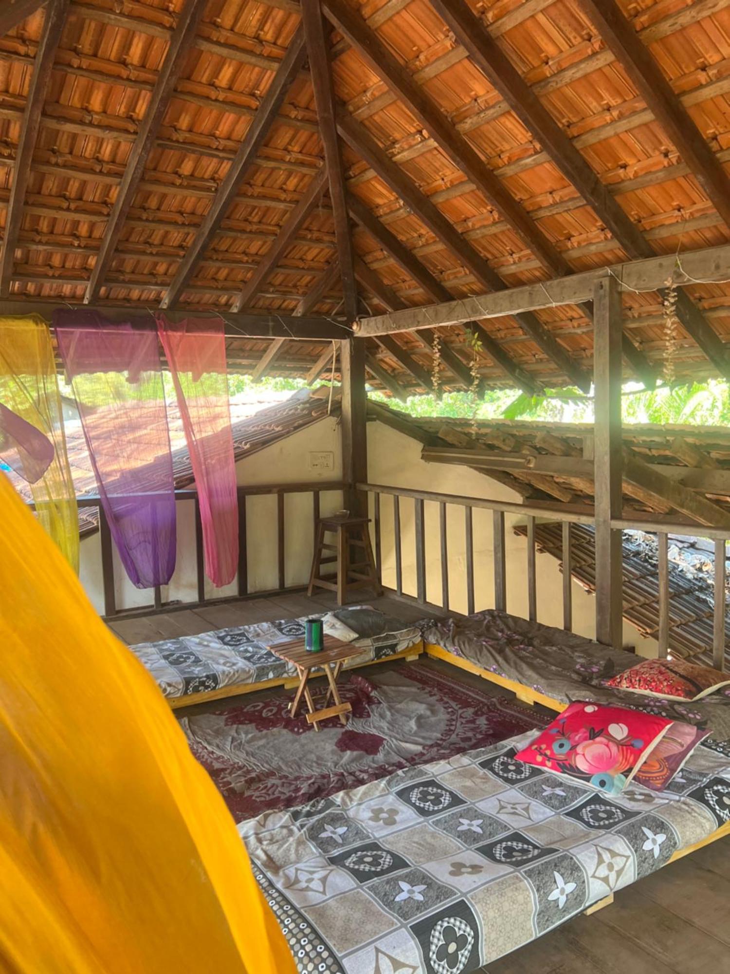 The Wild Flower! Anjuna Exterior photo