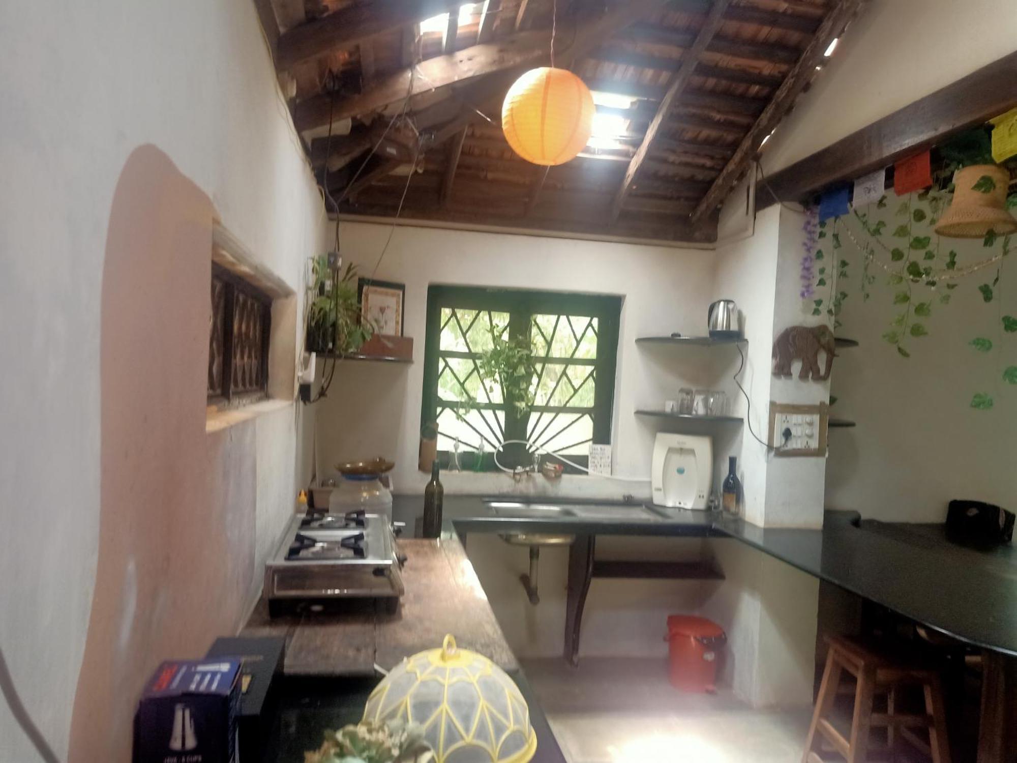 The Wild Flower! Anjuna Exterior photo